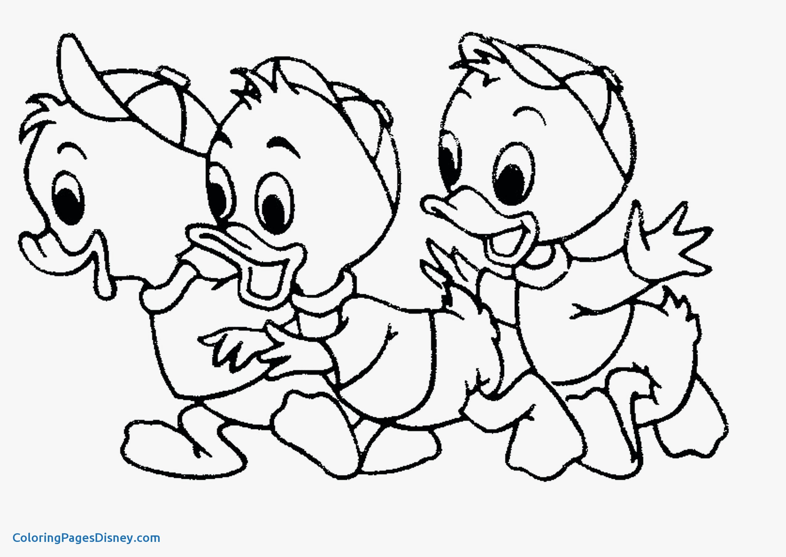 2550x1807 Daisy Duck Coloring Pages Beautiful Mother Duck And Her Babies
