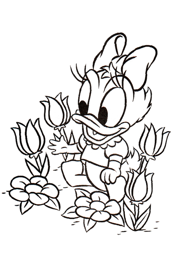 Baby Daisy Duck Coloring Pages at GetColorings.com | Free printable ...