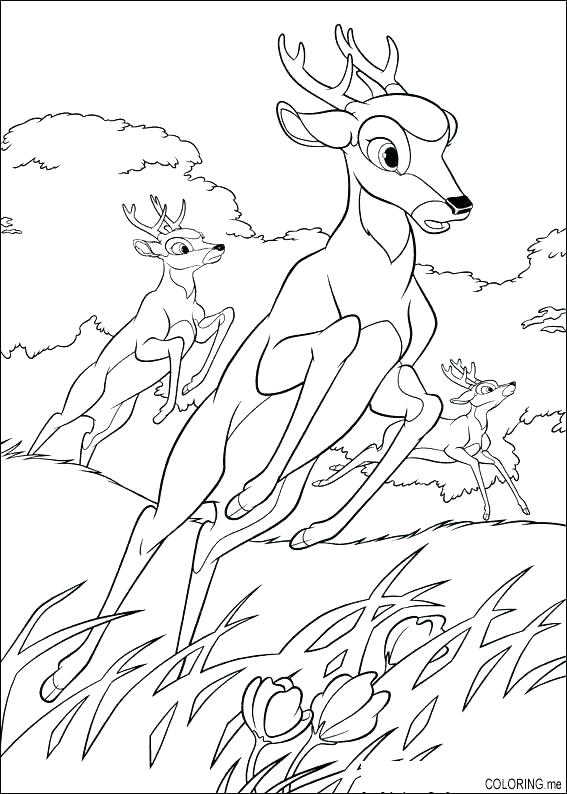 567x794 Baby Deer Coloring Pages Coloring Pages Of Deer Coloring Page Deer