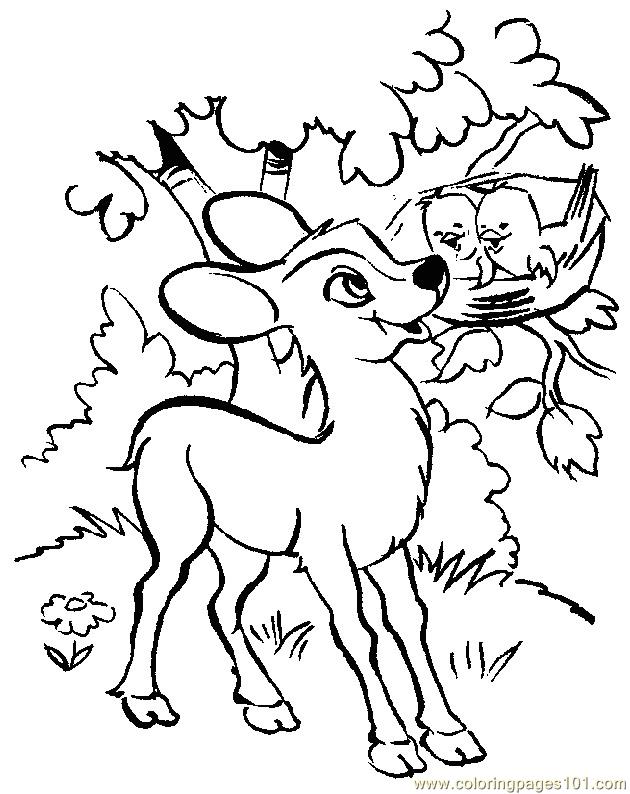 630x794 Baby Deers Coloring Page