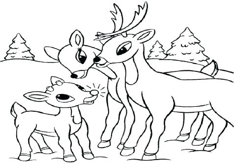 476x333 Whitetail Deer Coloring Pages Coloring Pages Deer Whitetail Deer