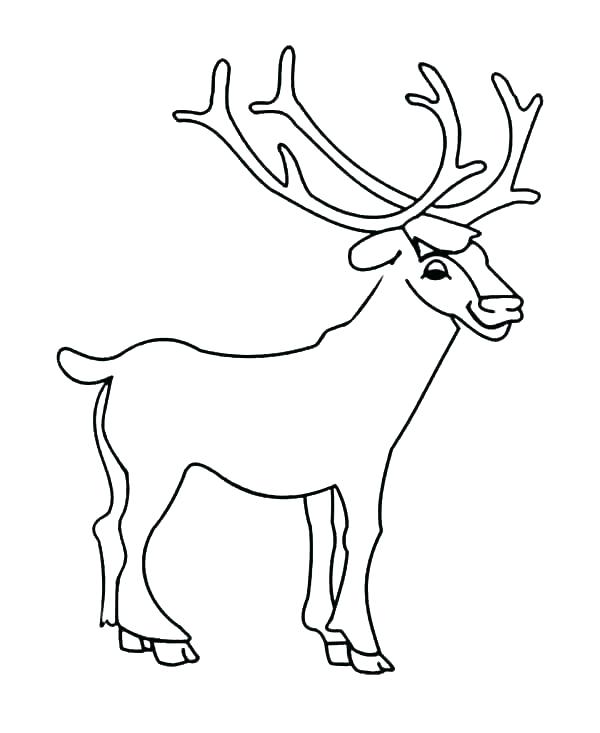 600x733 Coloring Page Deer