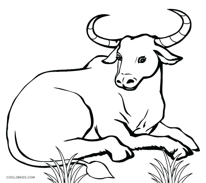 850x754 Printable Coloring Pages Disney Coloring Cow Coloring Pages Cow