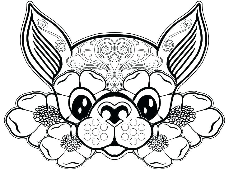 Chihuahua Coloring Pages Sombrero Ng Sheet Chihuahua Ng Page Free 736x549 Chihuahua Coloring Pages Sombrero Ng Sheet Chihuahua Ng Page Free