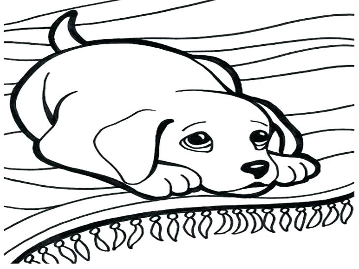 Coloring Pages Flowers Hard 5 Marvelous Pug Baby Chihuahua Dog 728x546 Coloring Pages Flowers Hard 5 Marvelous Pug Baby Chihuahua Dog