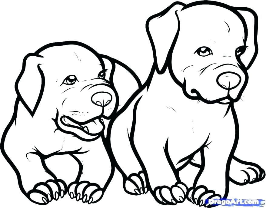 Baby Puppy Coloring Pages Puppies Coloring Sheets Baby Puppy 878x687 Baby Puppy Coloring Pages Puppies Coloring Sheets Baby Puppy