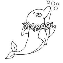220x220 Baby Dolphin Coloring Page Free Download