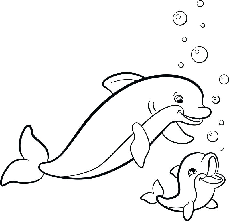 800x772 Marine Coloring Pages Cute Dolphin Coloring Pages Marine Coloring