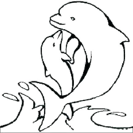432x432 Realistic Baby Dolphin Coloring Pages Coloring Pages For Kids Baby