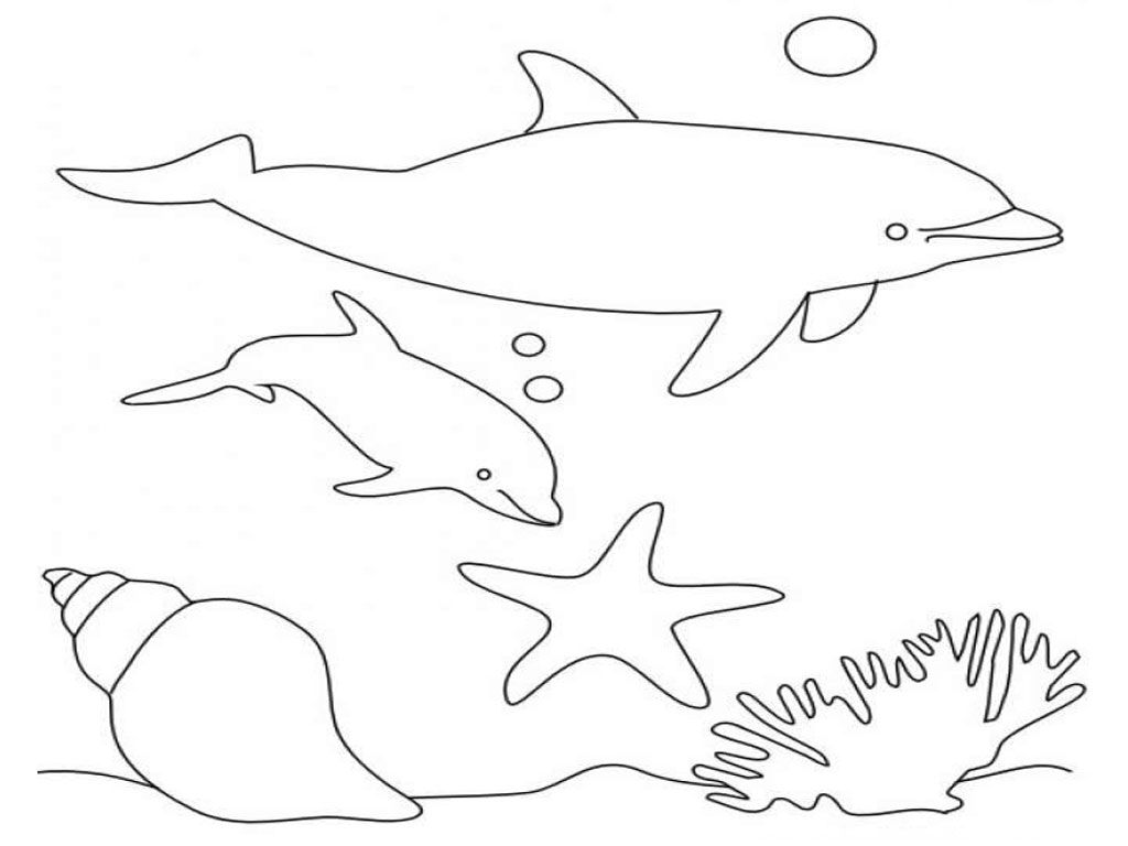 1024x768 Httpcolorings.coaby Dolphin Coloring Pages For Kids