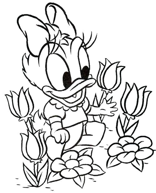 500x619 Baby Donald Duck Coloring Pages