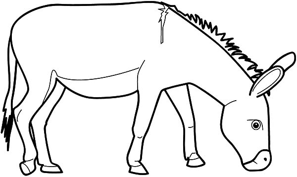 600x357 Learning Years Animal Coloring Pages Donkey Pertaining