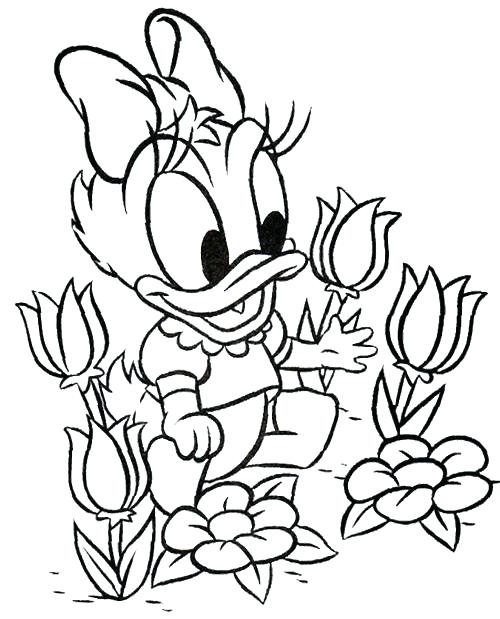 Baby Duck Coloring Pages Baby Duck Is A Duckling Coloring Page 500x619 Baby Duck Coloring Pages Baby Duck Is A Duckling Coloring Page