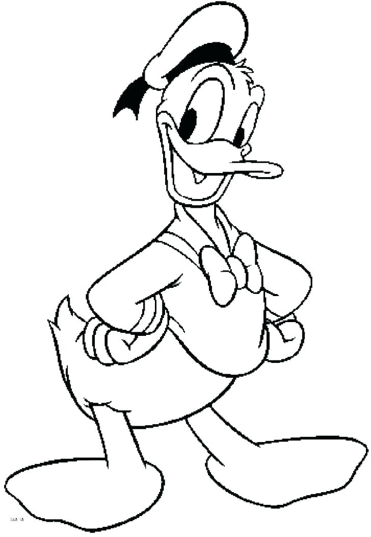 Duck Coloring Pages Daffy Duck Coloring Pages Baby Duck Coloring 728x1052 Duck Coloring Pages Daffy Duck Coloring Pages Baby Duck Coloring