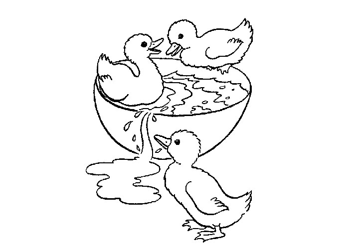 Ducks Coloring Pages To Download And Print For Free 700x500 Ducks Coloring Pages To Download And Print For Free