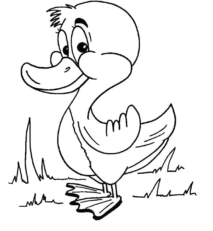 Picture Of A Duck To Color Daisy Duck Coloring Page Duck Color 700x762 Picture Of A Duck To Color Daisy Duck Coloring Page Duck Color