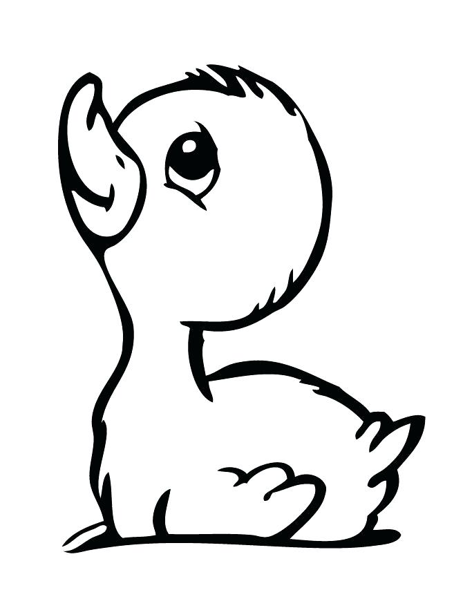 Duckling Coloring Page Baby Duckling Coloring Page Cute Duckling 670x867 Duckling Coloring Page Baby Duckling Coloring Page Cute Duckling