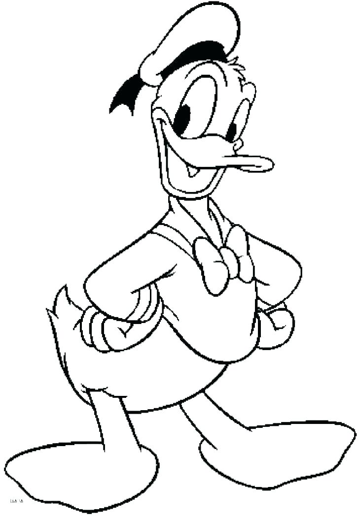 Ducks Coloring Pages Duck Book And Baby 728x1052 Ducks Coloring Pages Duck Book And Baby