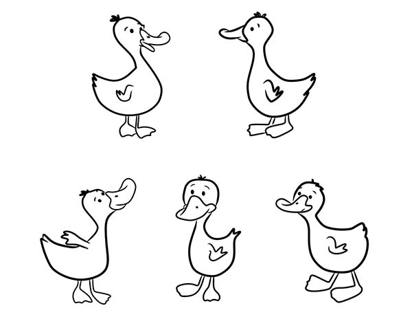 Five Baby Duck Coloring Page 600x464 Five Baby Duck Coloring Page