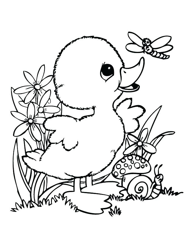 Winsome Duck Coloring Page Printable For Pretty Duck Coloring Page 670x867 Winsome Duck Coloring Page Printable For Pretty Duck Coloring Page