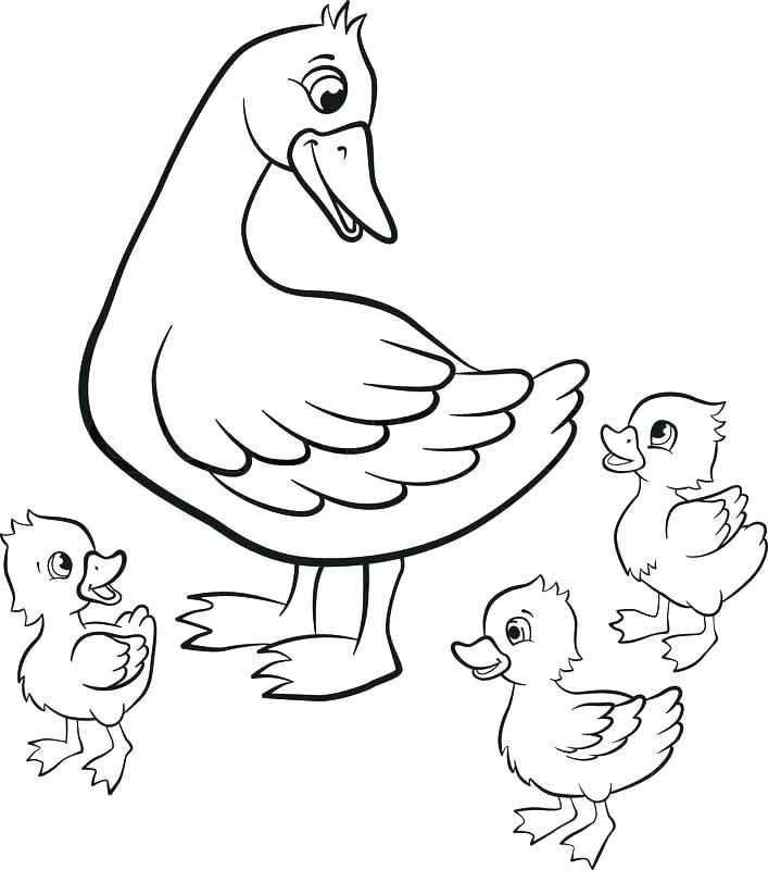Baby Duck Coloring Pages Duckling Coloring Page Pages Kind Duck 707x800 Baby Duck Coloring Pages Duckling Coloring Page Pages Kind Duck