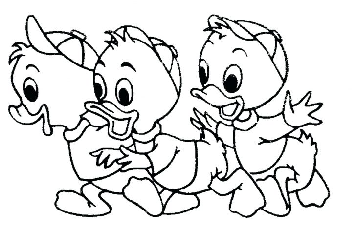 Baby Duck Is A Duckling Coloring Page Pages Online Printable 728x516 Baby Duck Is A Duckling Coloring Page Pages Online Printable