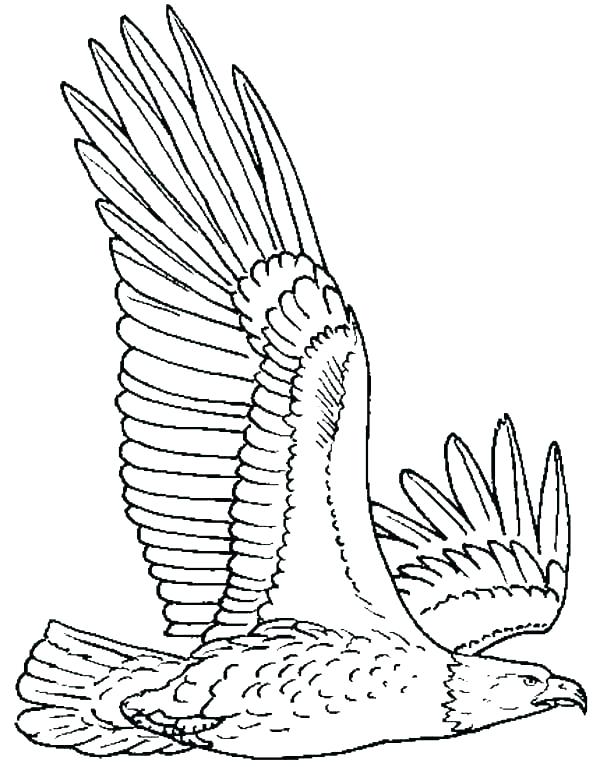 Coloring Pages Eagle Coloring Pages Of Eagles Coloring Pages 600x767 Coloring Pages Eagle Coloring Pages Of Eagles Coloring Pages