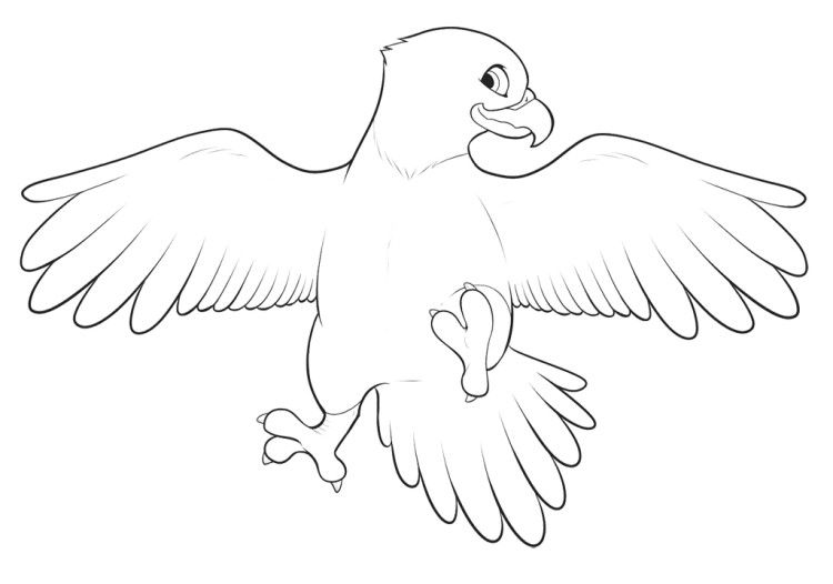 Cute Baby Eagle Coloring Pages Kids Coloring Pages 750x526 Cute Baby Eagle Coloring Pages Kids Coloring Pages