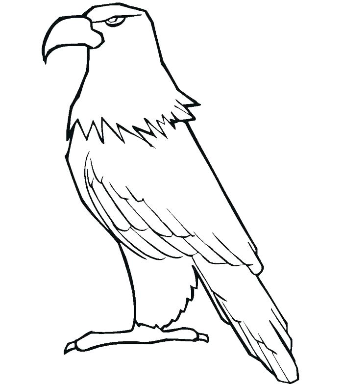 Eagle Pictures To Color Baby Eagle Coloring Pictures Infoguide.club 700x783 Eagle Pictures To Color Baby Eagle Coloring Pictures Infoguide.club