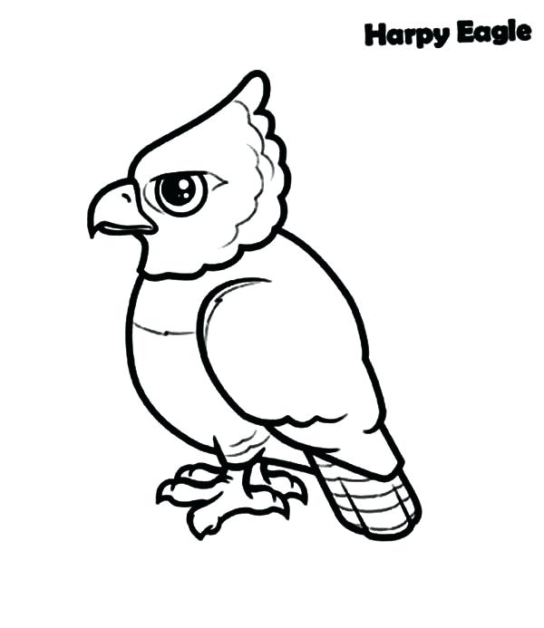 Harpy Eagle Coloring Page Printable Eagle Coloring Pages For Kids 600x693 Harpy Eagle Coloring Page Printable Eagle Coloring Pages For Kids