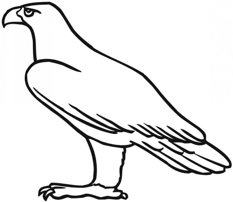 Simple Eagle Standing Coloring Page Eagle Coloring Pages 940x813 Simple Eagle Standing Coloring Page Eagle Coloring Pages
