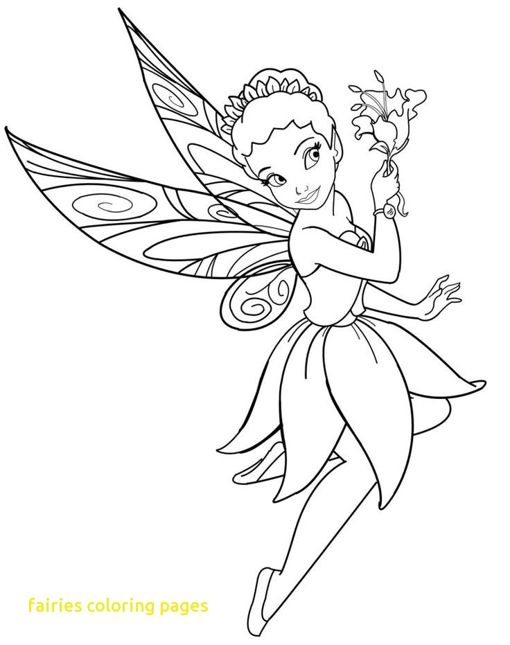Fairies Coloring Pages With Best 25 Disney Coloring Sheets Ideas 736x931 Fairies Coloring Pages With Best 25 Disney Coloring Sheets Ideas