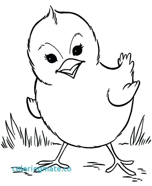 500x612 Coloring Pages Baby Animals Baby Animals Coloring Pages Fresh Free