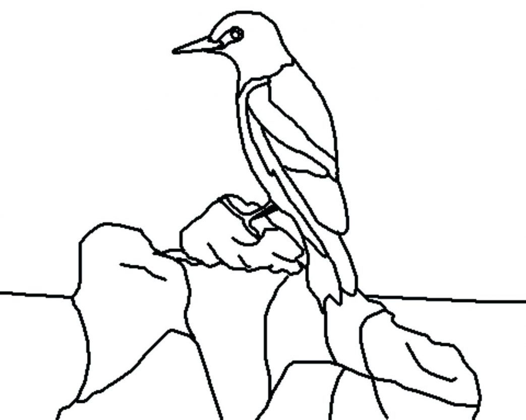 1043x833 Football Coloring Pages Eagles The Servant King Sheet School Paper