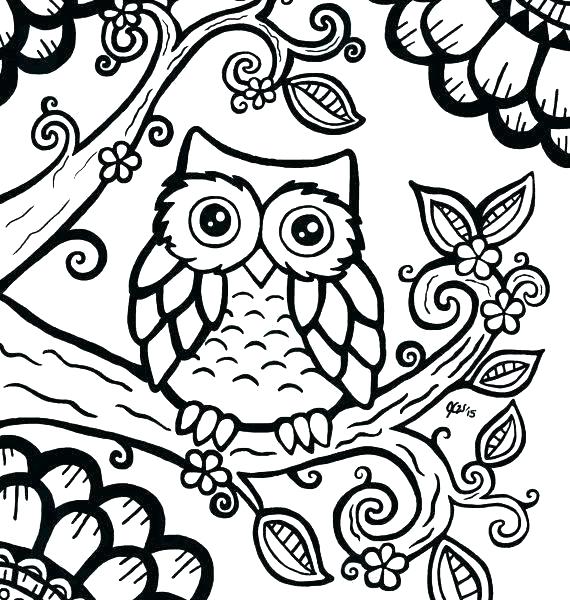 570x600 Owl Pictures To Print Coloring Pages Of Owls To Print Owl Coloring