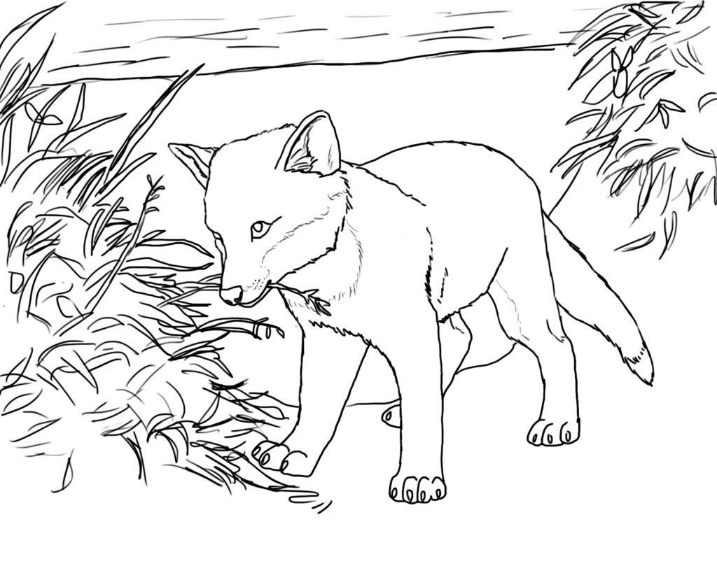 1024x819 Baby Fox Coloring Pages 0