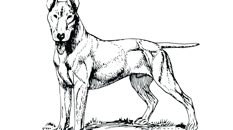 770x430 German Shepherd Coloring Page Shepherd Coloring Pages Shepherd