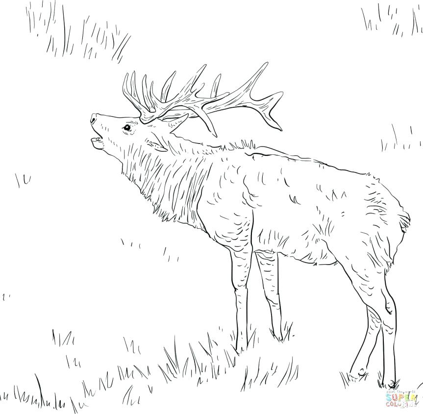 863x845 Shepherd Coloring Pages Cute Shepherd Coloring Pages Dog Page