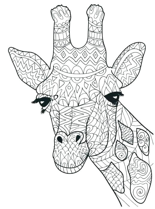 518x700 Coloring Pages Of Giraffes Coloring Pages Of Giraffes Baby Giraffe