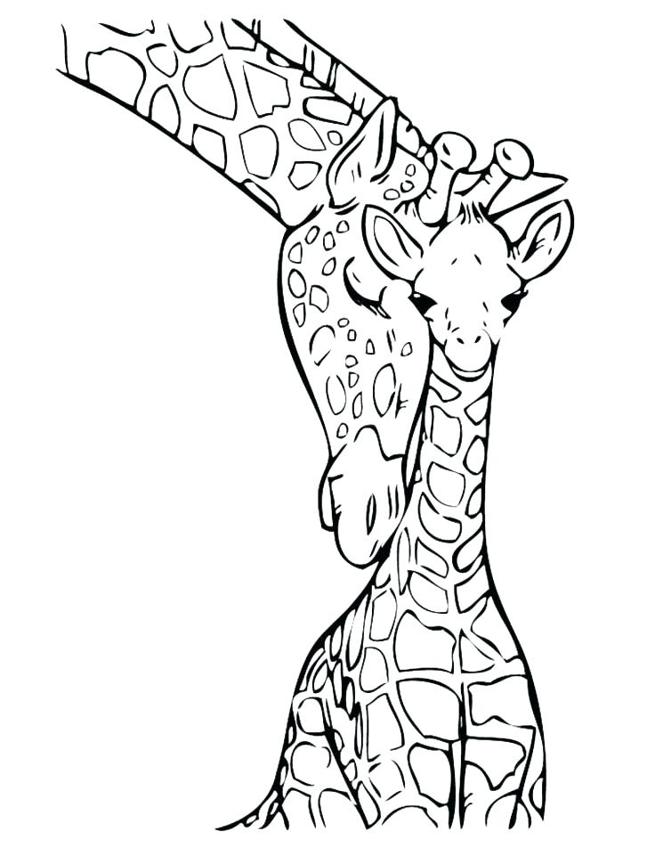 736x952 Giraffe Color Page Baby Giraffe Pictures To Color Giraffe Coloring