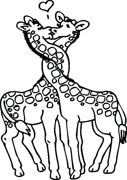 524x738 Giraffe Color Page Giraffe Color Pages Giraffe Coloring Pages Free