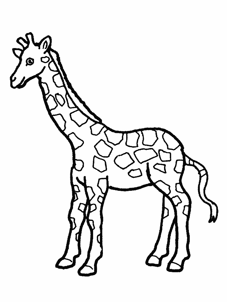 768x1024 Wanted Giraffe Coloring Sheets Free Printable