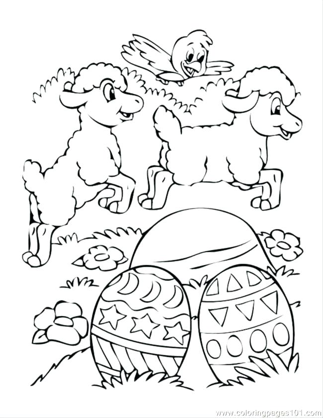 Baby Chicks Coloring Pages Girl Coloring Pages Chicks Coloring 650x840 Baby Chicks Coloring Pages Girl Coloring Pages Chicks Coloring