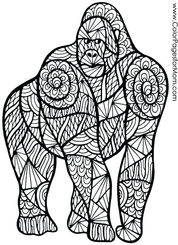 597x820 Gorilla Coloring Pages Gorilla Coloring Sheet Gorilla Gorilla