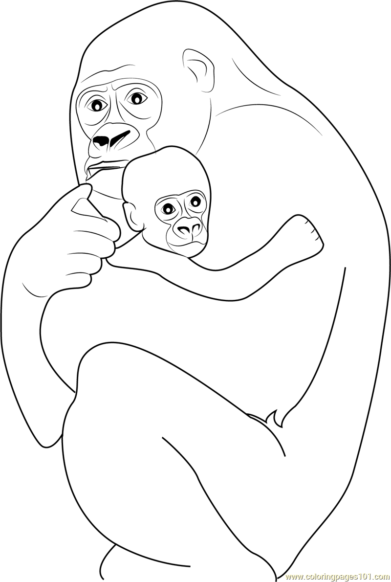 800x1190 Gorilla Hugs His Baby Coloring Page
