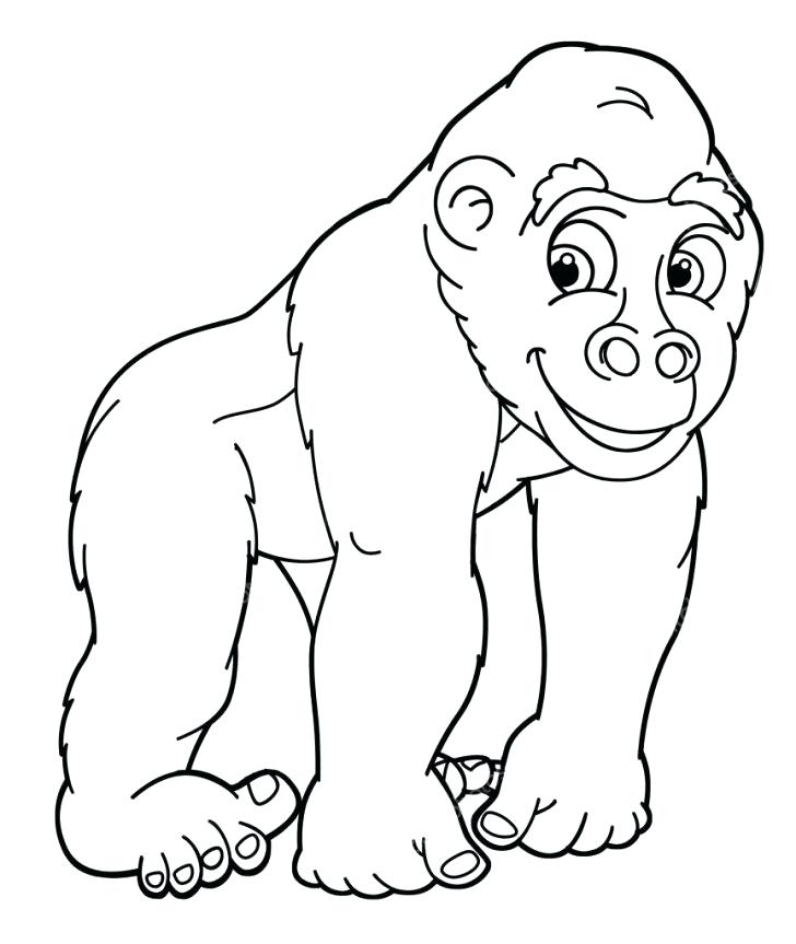 728x863 Gorilla Coloring Pages