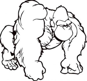 300x278 Chima Gorilla Coloring Pages Funny Cute Baby Realistic Fearsome