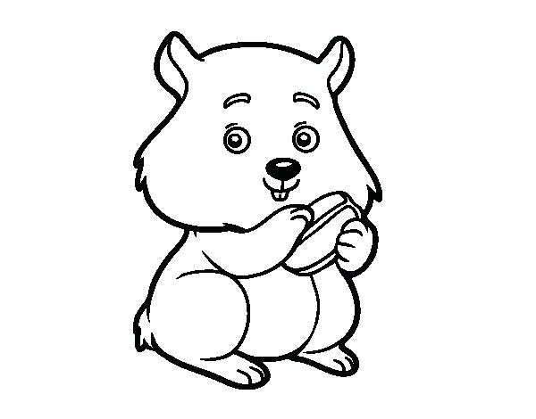 600x470 Hamster Coloring Page Chubby Hamster Coloring Page Dwarf Hamster