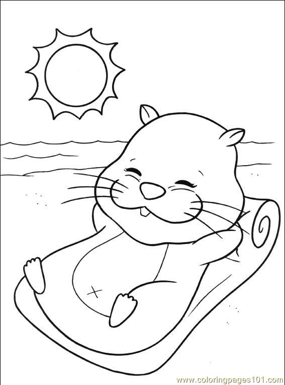 567x765 Hamster Coloring Pages