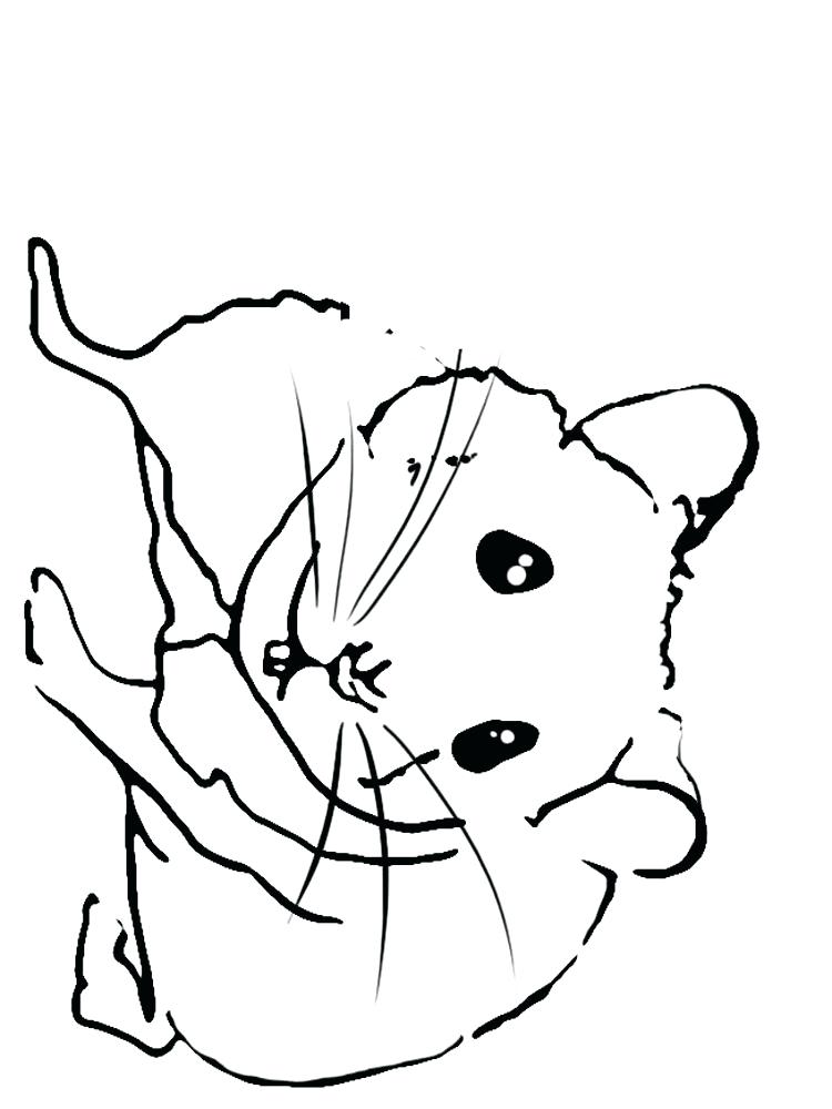 750x1000 Hamster Coloring Pages Cute Hamster Coloring Pages Hamster
